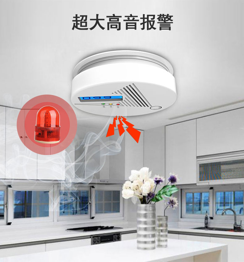 一氧化碳安装以及维护(图2) 一氧化碳安装以及维护(图2)